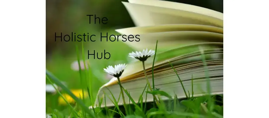 The Holistic Horses Hub LinkedIn 900x396